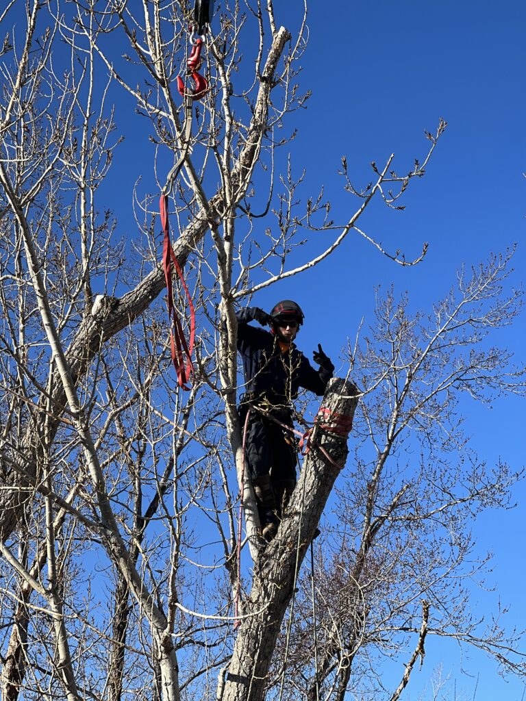 Climber